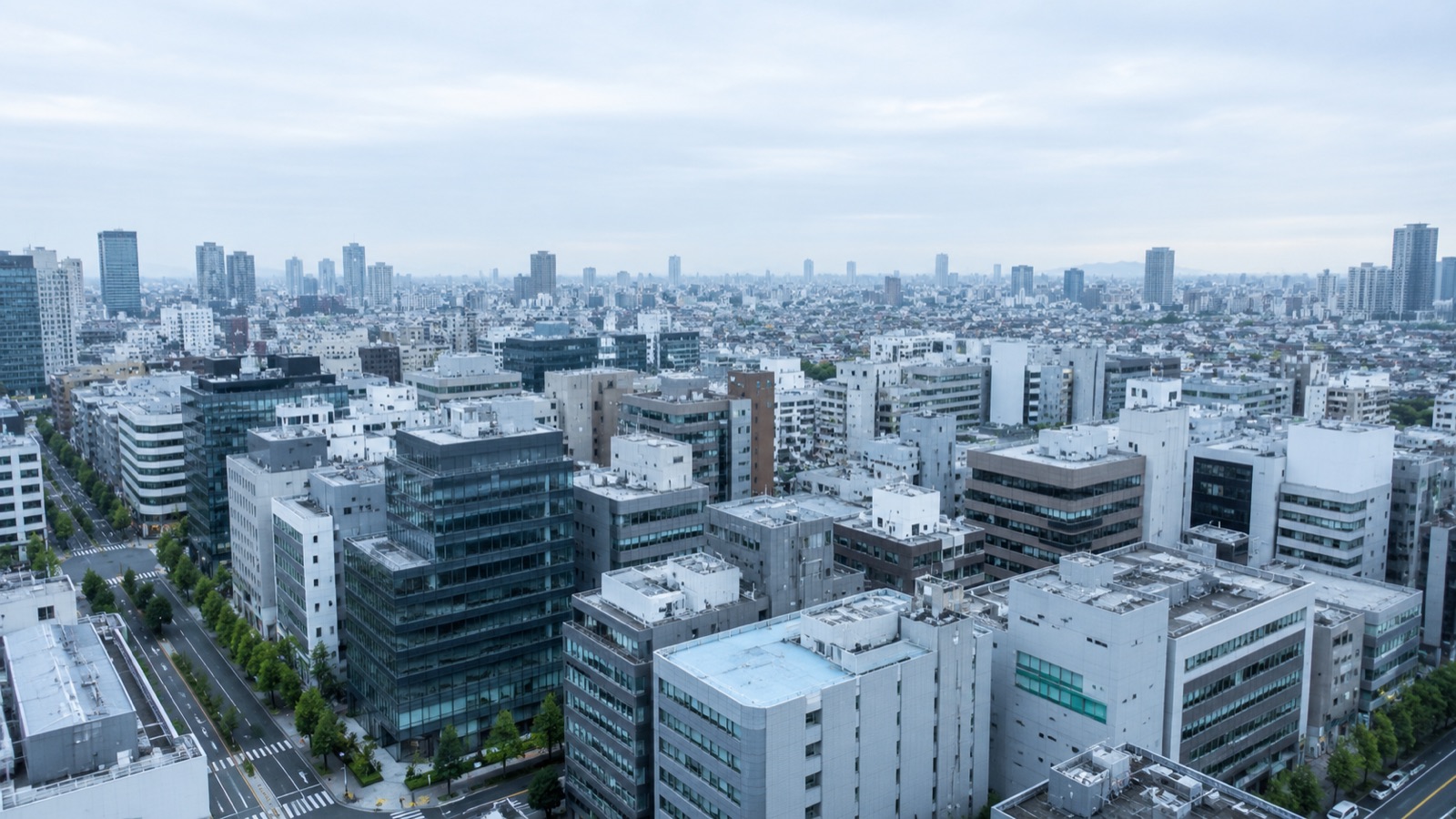 東京の中規模オフィスビルが並ぶ市街の眺め